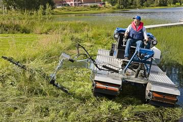 Manage marsh, wetlands and shorelines