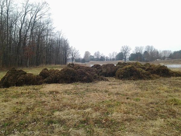 Lake weed removal and control