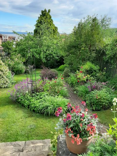 A green and flower filled garden