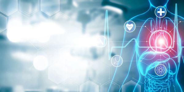 Internal Medicine Body