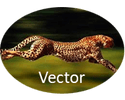 VECTOR LLC