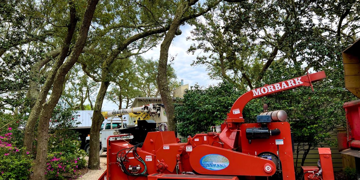 Ensley Tree Removal, Ensley Tree Trimming, Ensley Arborist, Ensley Excavation and Grading
