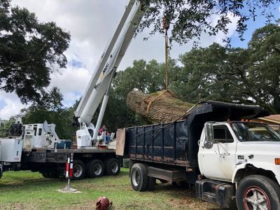 Storm Preparation, Risk mitigation, residential and commercial development planning in Pensacola