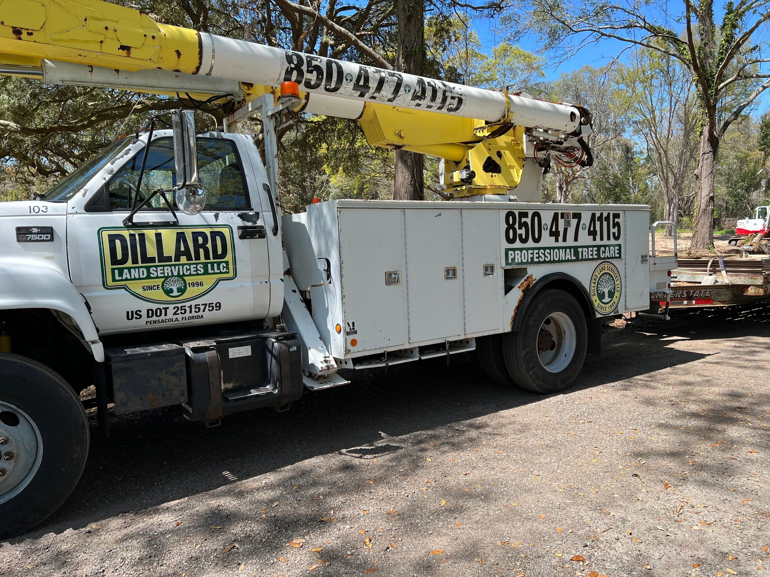 Tree Service, Excavation Service, Erosion Control, Tree Trimming, Land Grading