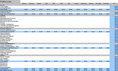 Laundromat Profit and loss spreadsheets