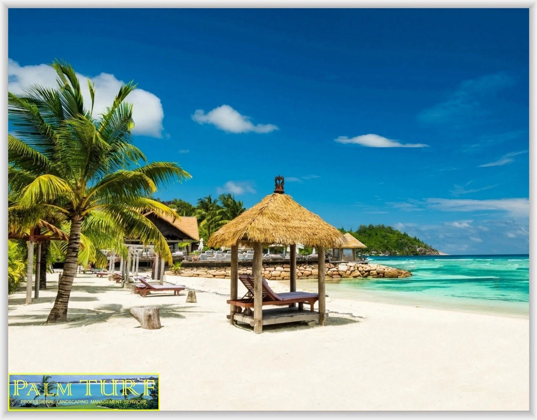 PPrĂłTURF TĂRFtech TĂRF OasĂs Landscaping Twig HologramComputers ĂLECTRIC SĂLAR PĂWER IAZTEC