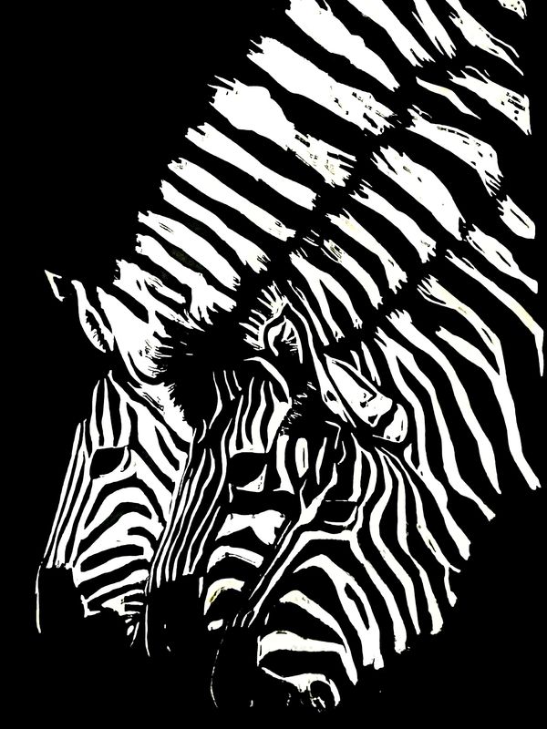 Two zebras with striking black and white stripes against a black background.