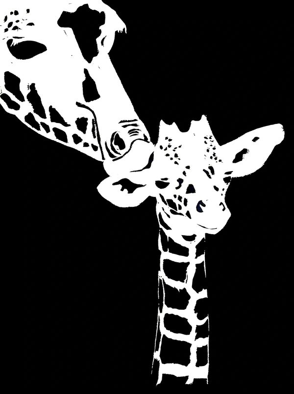 Mother giraffe with calf