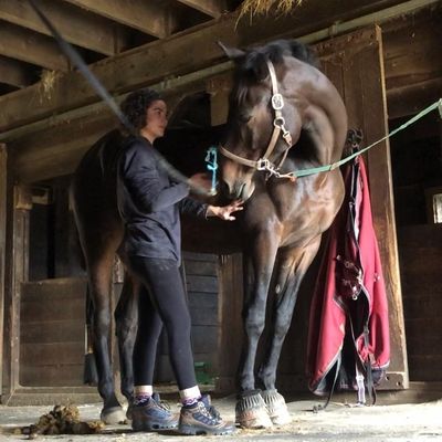 Shannon Luongo bonding and working with a horse