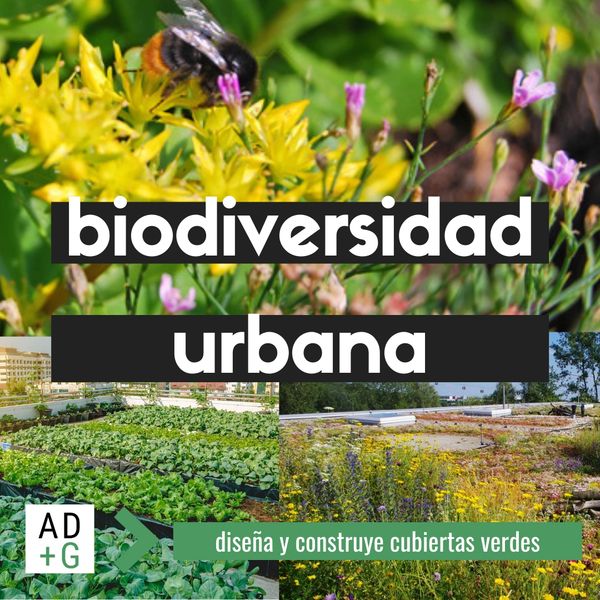 techos verdes biodiversidad urbana