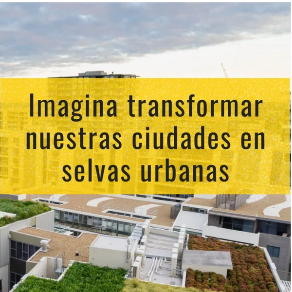 selvas urbanas techos verdes