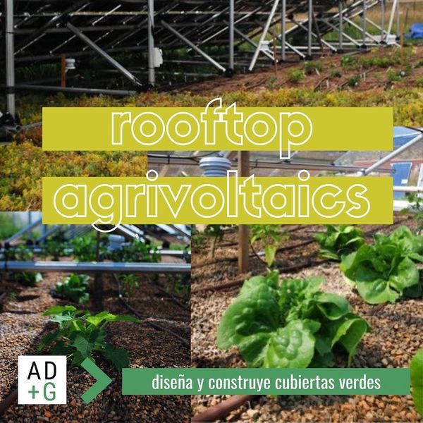 agrivoltaicos en techos verdes