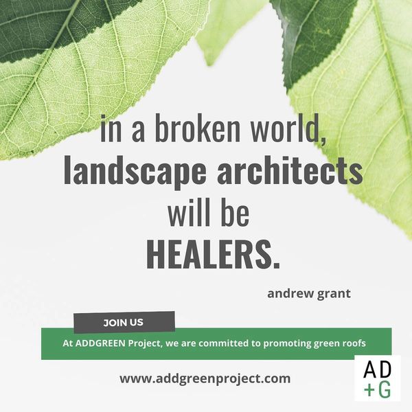 paisajismo techos verdes