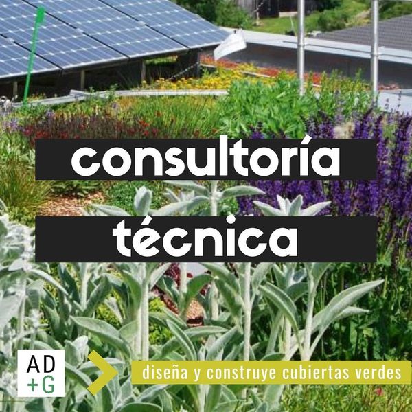 consultoría técnica techos verdes