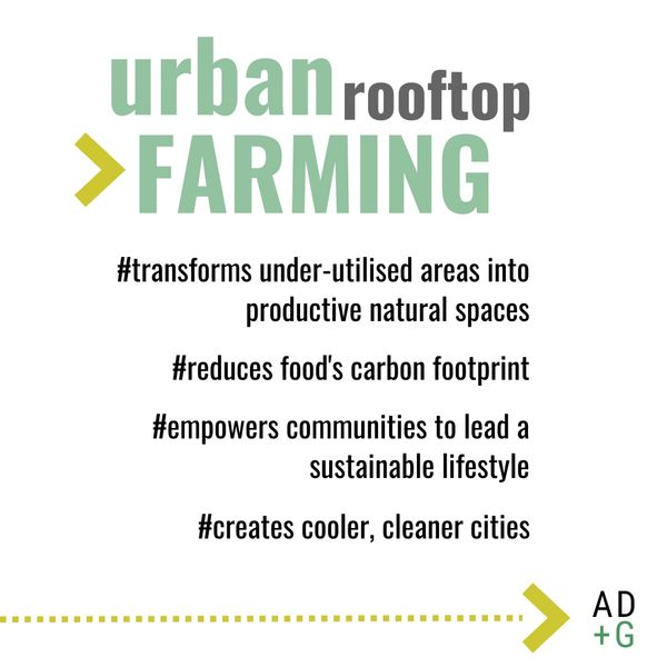 urban farming agricultura urbana