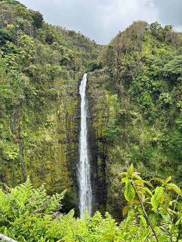 Water is life...preferably not polluted.