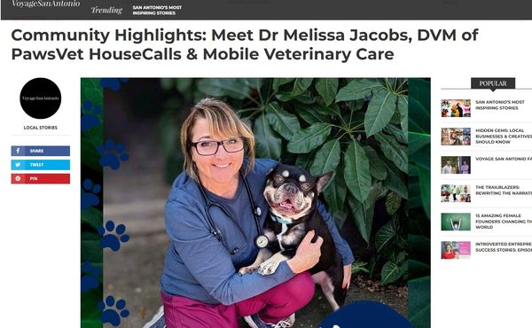 "Community Highlights: Meet Dr Melissa Jacobs, DVM of PawsVet HouseCalls & Mobile Veterinary Care"
