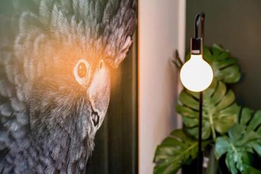 Close-up of a bird painting illuminated by a glowing lamp beside green leaves.