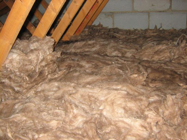 Dirty insulation attracts vermin, birds and insects and is a common cause of condensation.