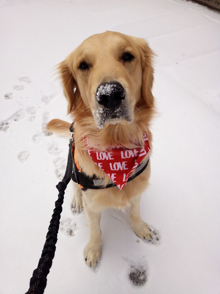 It's All About Love and Playing in the Snow for One Year Old Winston!!!  What a Love Bug!