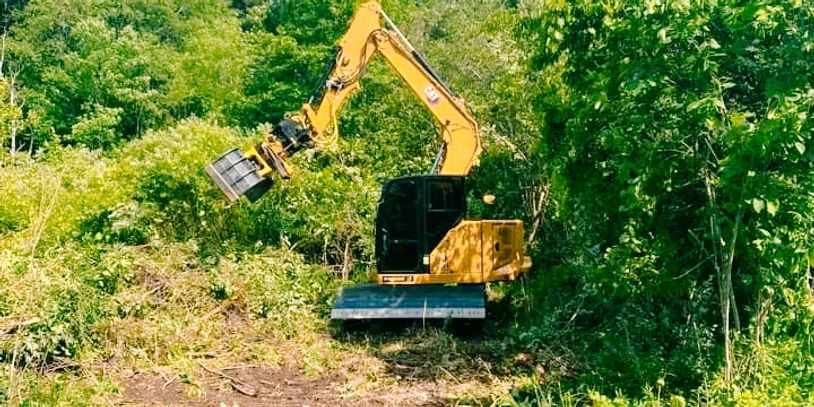 Land Clearing Contractor Iowa