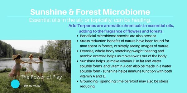 The Power of Play - Sunshine & Forest Microbiome