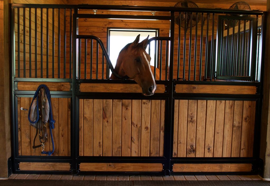 Brown horse in a wooden stable peering out.