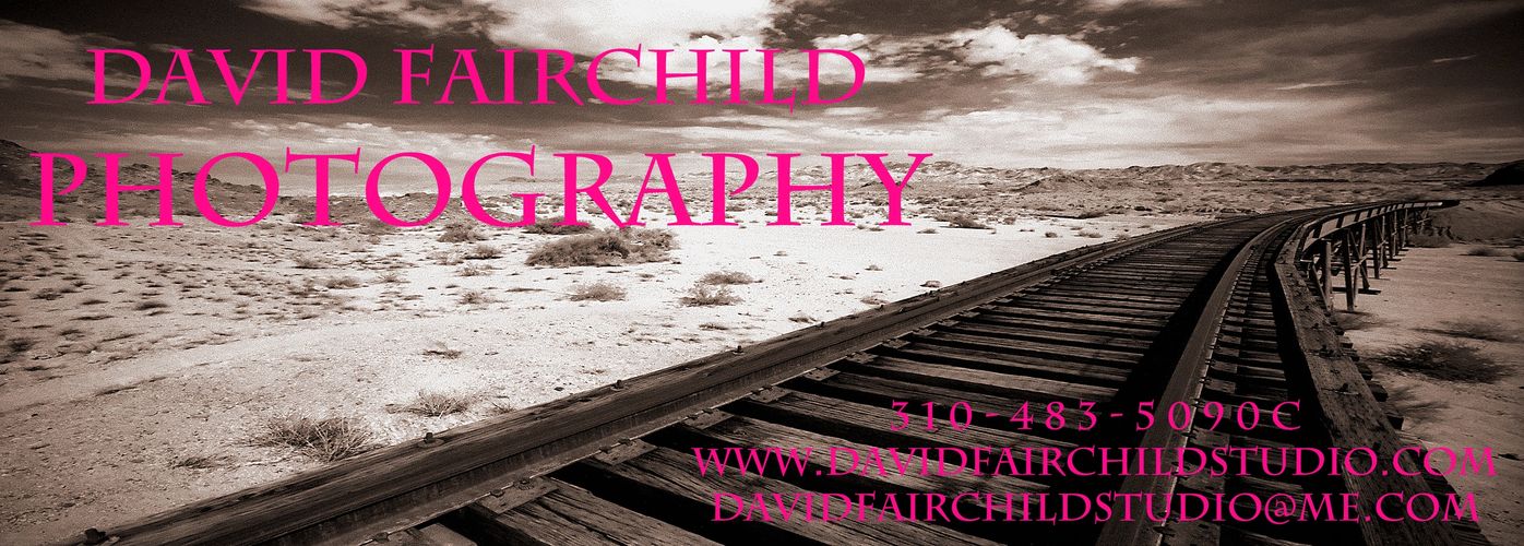 Railroad tracks in the desert with David Fairchild Photography labeled