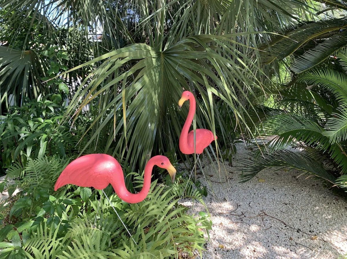 Two pink flamingo lawn ornaments in a lush garden.