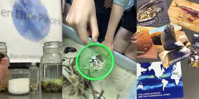 Scientific exploration of micro plastic pollution and ocean health education activity hands on learng