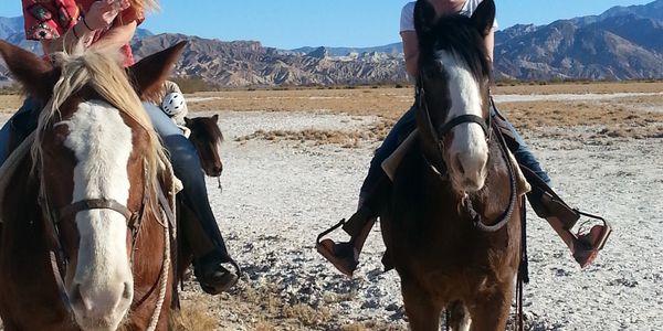 Horses on the valley floor with Zabriskie Point in the backgournd.