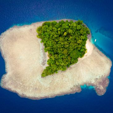 Kimbe Bay pelagic sea birds and visit small islands for Island specialities.