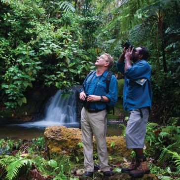 Experienced bird guides New Britain, Papua New Guinea.
