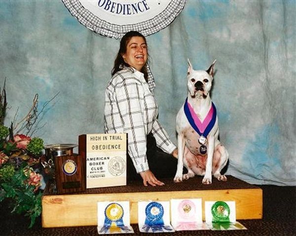Woman and Boxer dog with obedience awards