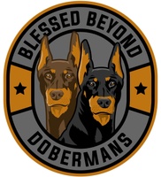 Blessed Beyond Dobermans