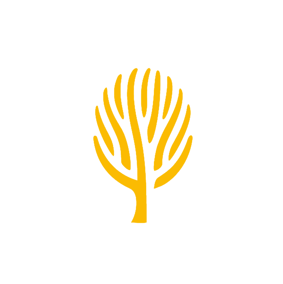 Move Outdoors Projects Indian Adventure Space