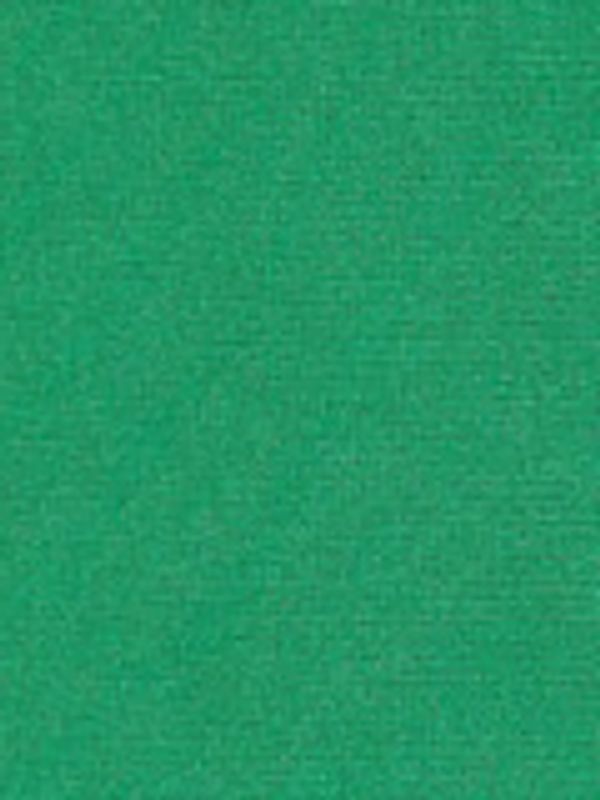A green fabric swatch.