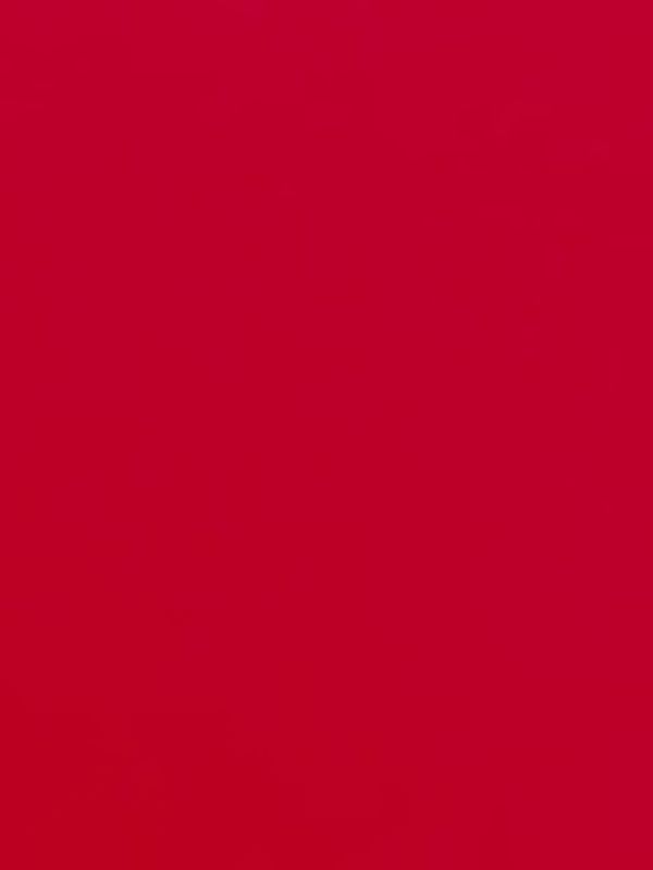 A red fabric swatch.