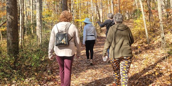 a group of women walking through the woods