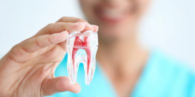 Root Canal Dentist in Cranberry