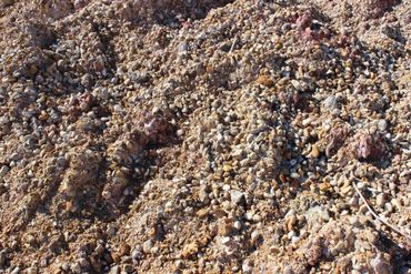Close-up of a rocky and gravelly ground surface with small stones.