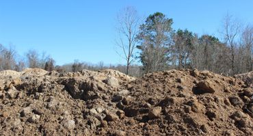 Large piles of dirt with leafless trees under a clear blue sky.