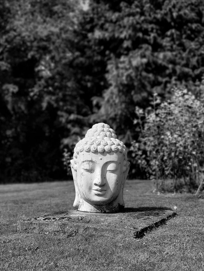 image31