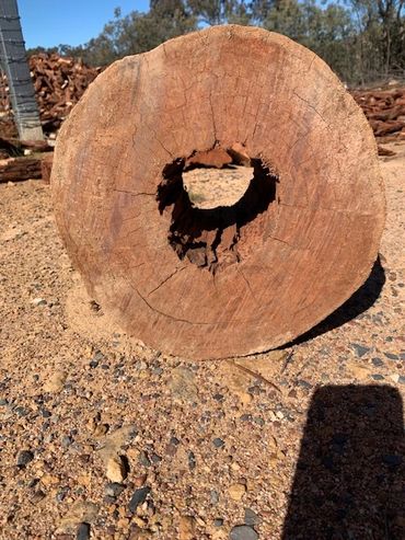 Cross-section of a weathered log with a hollow center on a gravel surface.