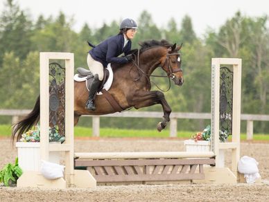 Horse and rider jumping over hurdle outdoors.