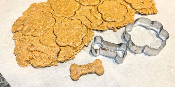 dog treats, peanut butter dog treats, healthy dog treats, organic dog treats