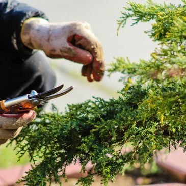 gardening services