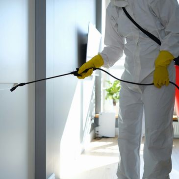 pest control services