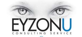 EYZONU Consulting Services