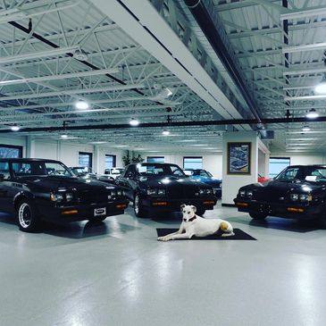 The Buick GNX is the most iconic American made car in the 1980's.